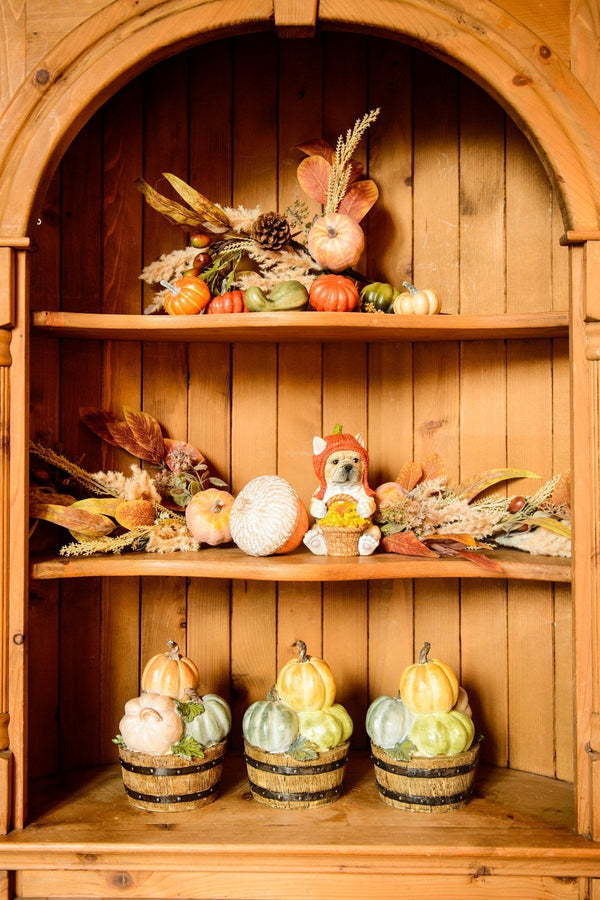 Carraig Donn 4 Colourful Pumpkins in a Basket