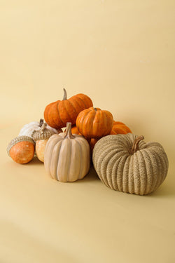 Carraig Donn Autumn Harvest Pumpkin Natural Large