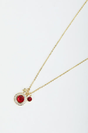 January Birthstone Charm Necklace