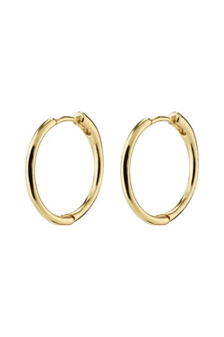 Carraig Donn Eanna Medium Gold Earrings