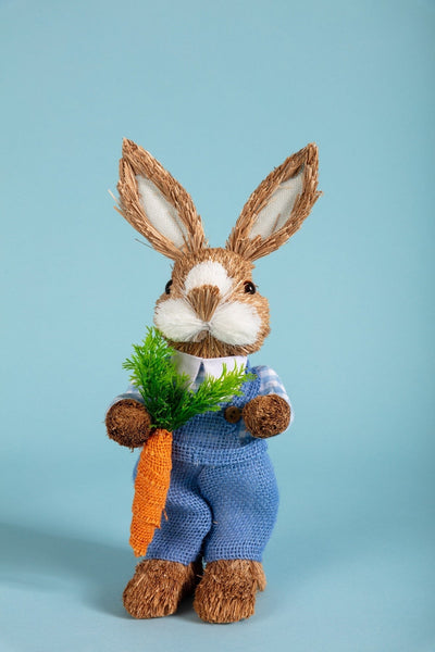 Carraig Donn Easter Bunny Boy Blue