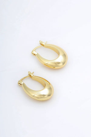 Gold Drop Hoop Earrings