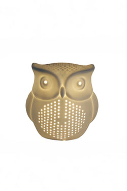 Carraig Donn Owl Shaped Glow Lamp