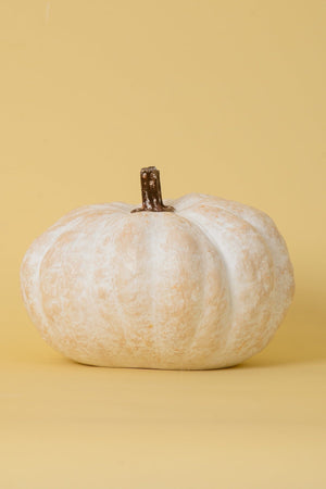 Autumn Harvest Pumpkin Natural Medium