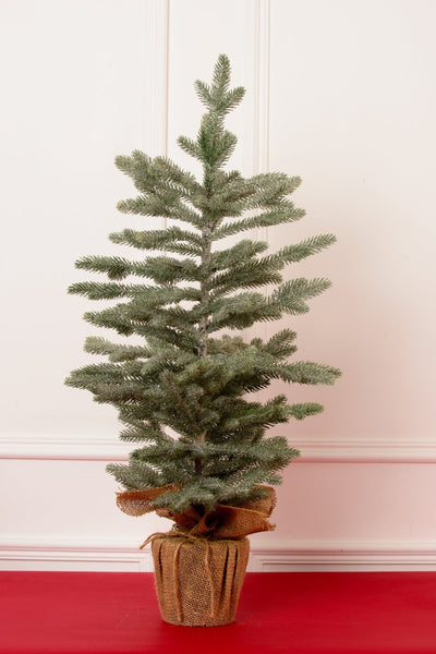 Carraig Donn Traditional Green Christmas Tree In Pot