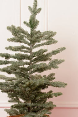 Carraig Donn Traditional Green Christmas Tree In Pot