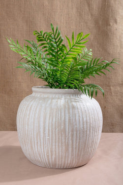 Carraig Donn White Marley Vessel