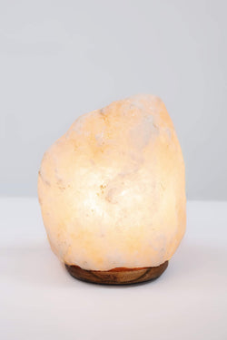 Carraig Donn Medium Himalayan Salt Lamp